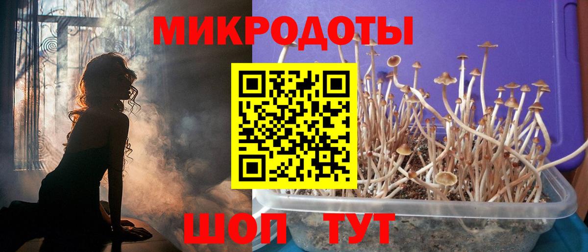 Псилоцибиновые грибы мицелий  Вход с VPN  Алейск 