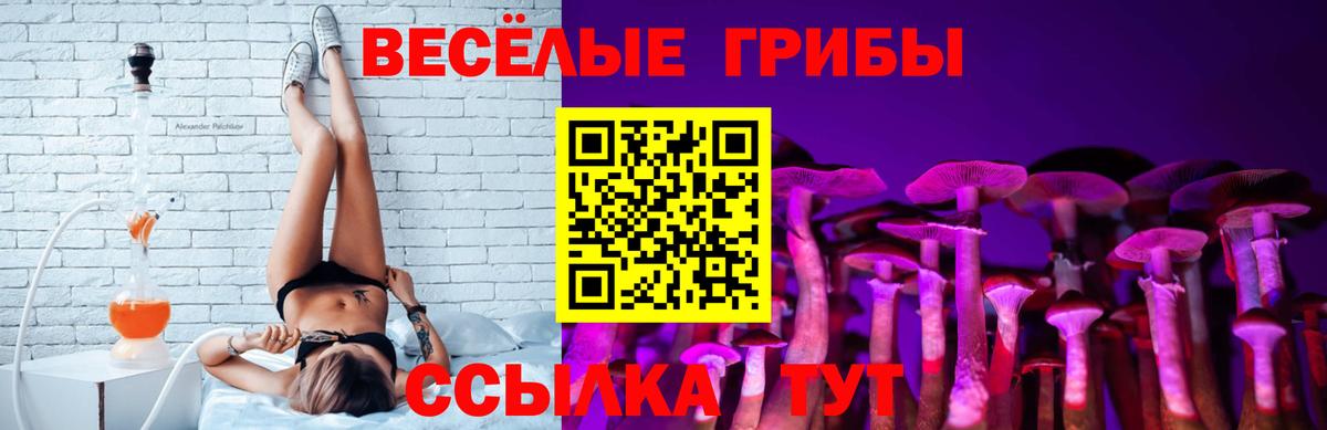 Псилоцибиновые грибы мицелий Алейск